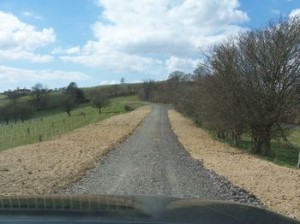 Stone roadway