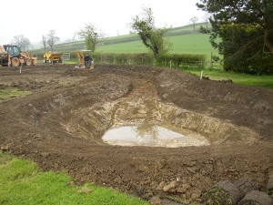 Wildlife Pond