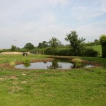 Wildlife Pond