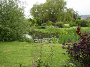 Wildlife Pond