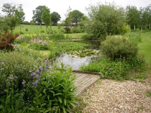 Wildlife Pond