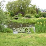 Wildlife Pond